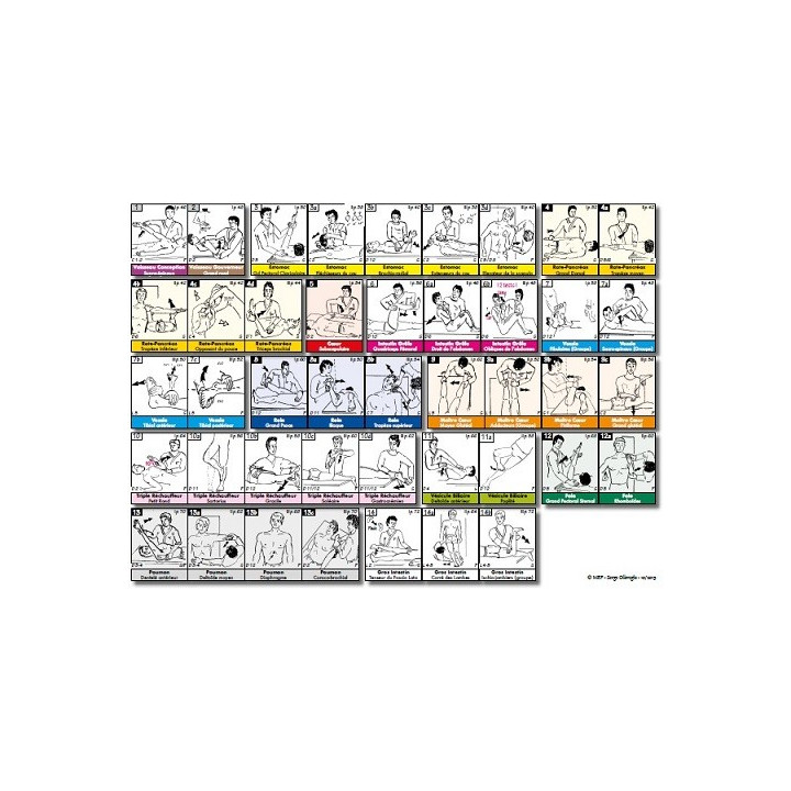 Fiche A4 - 42 tests musculaires du TFH (par méridien)