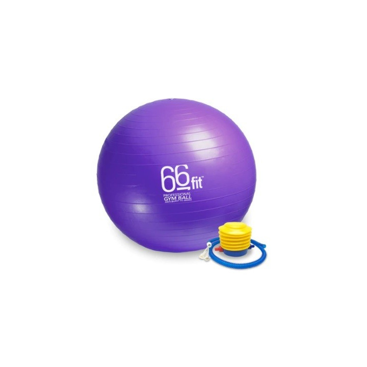 Ballon de gym - 55cm - violet