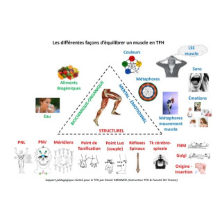 Les différentes techniques d'équilibration en TFH