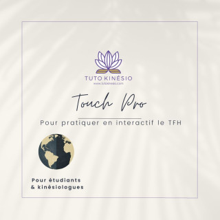 Touch Pro