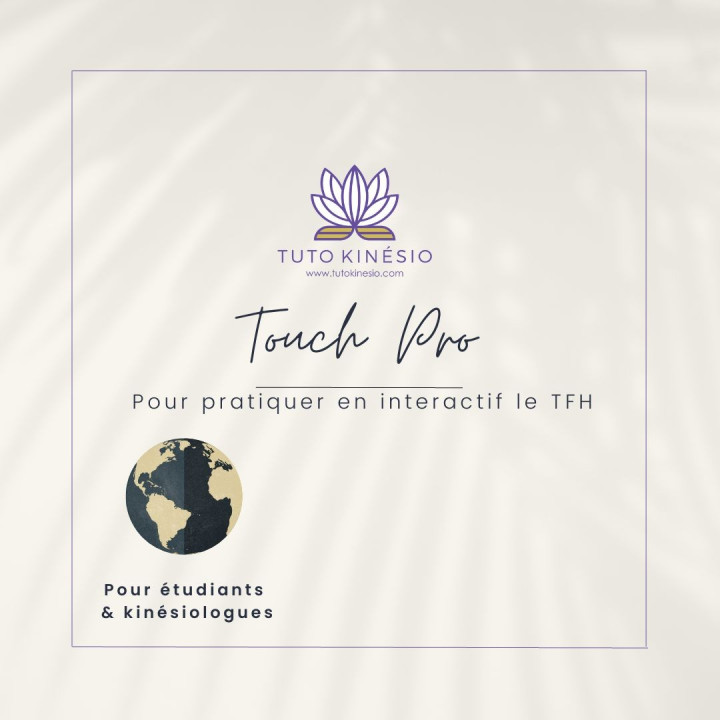Touch Pro