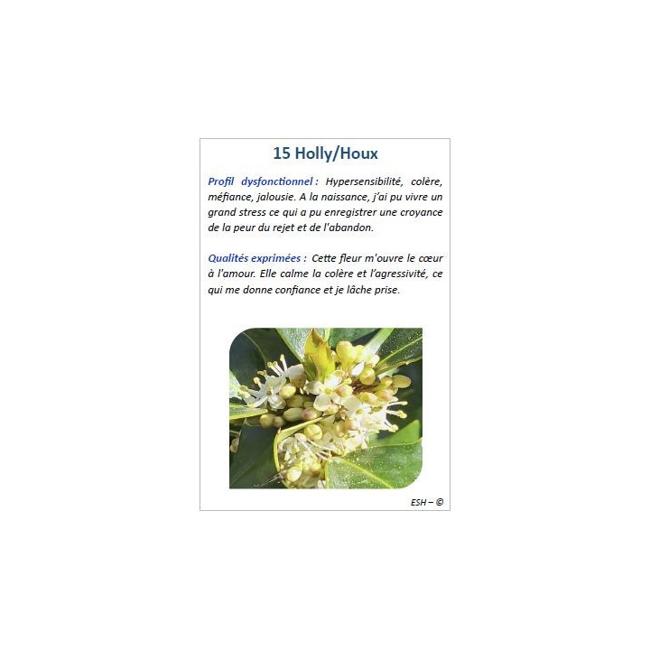 Cartes des Fleurs de Bach
