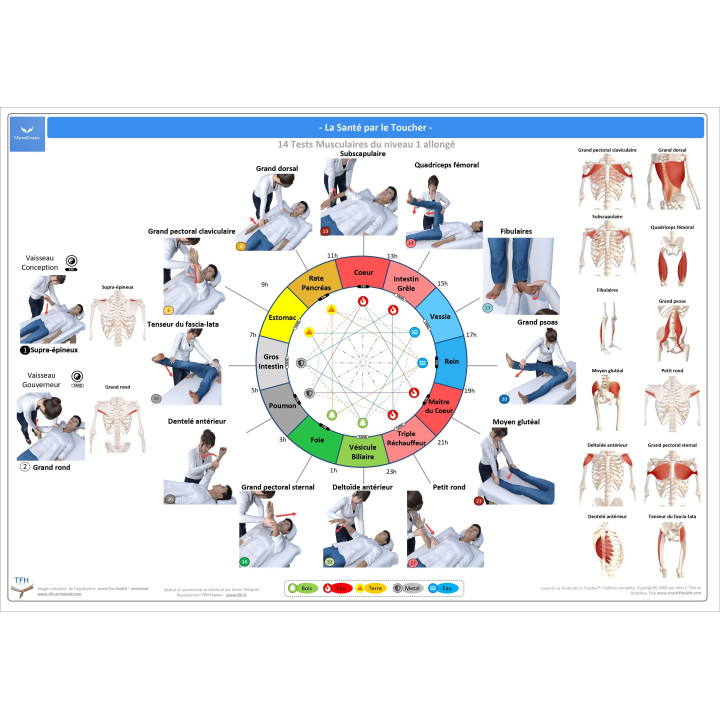 Pack 16 Fiches TFH plastifiées (v2)