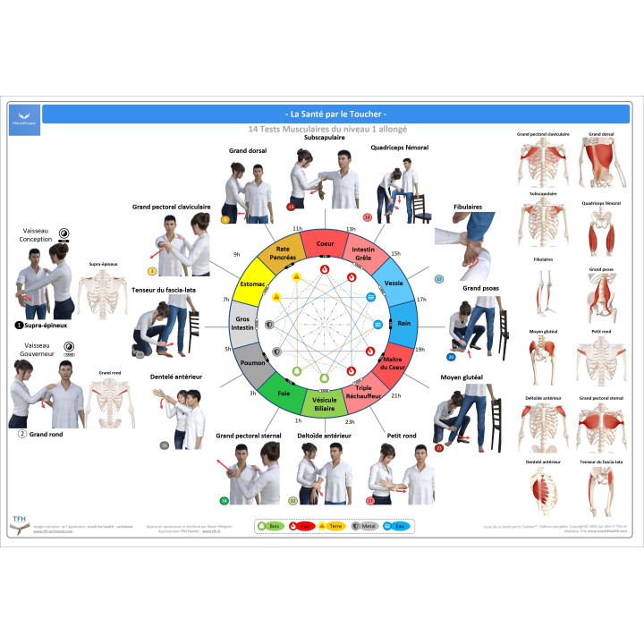 Pack 16 Fiches TFH plastifiées (v2)