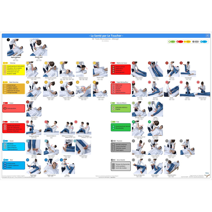 Pack 16 Fiches TFH plastifiées (v2)