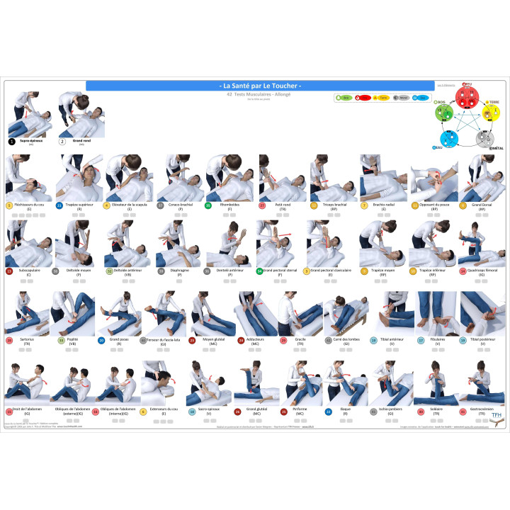 Pack 16 Fiches TFH plastifiées (v2)