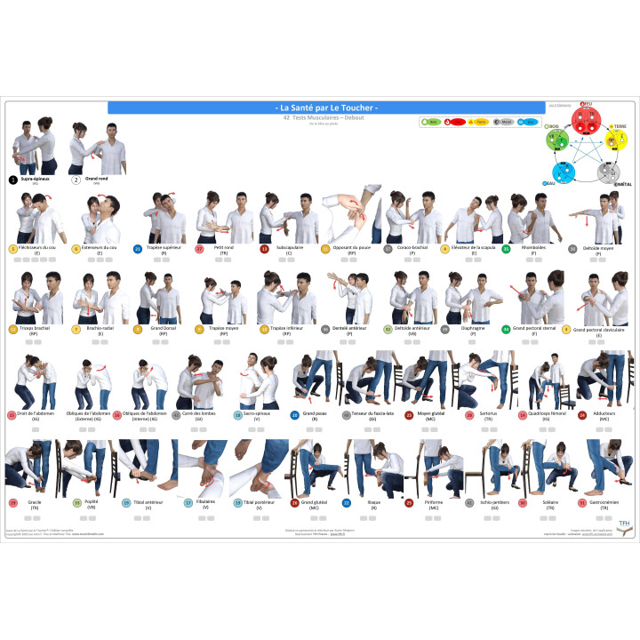 Pack 16 Fiches TFH plastifiées (v2)