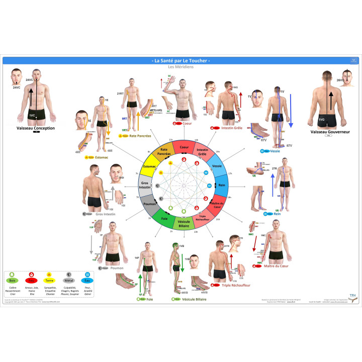 Pack 16 Fiches TFH plastifiées (v2)
