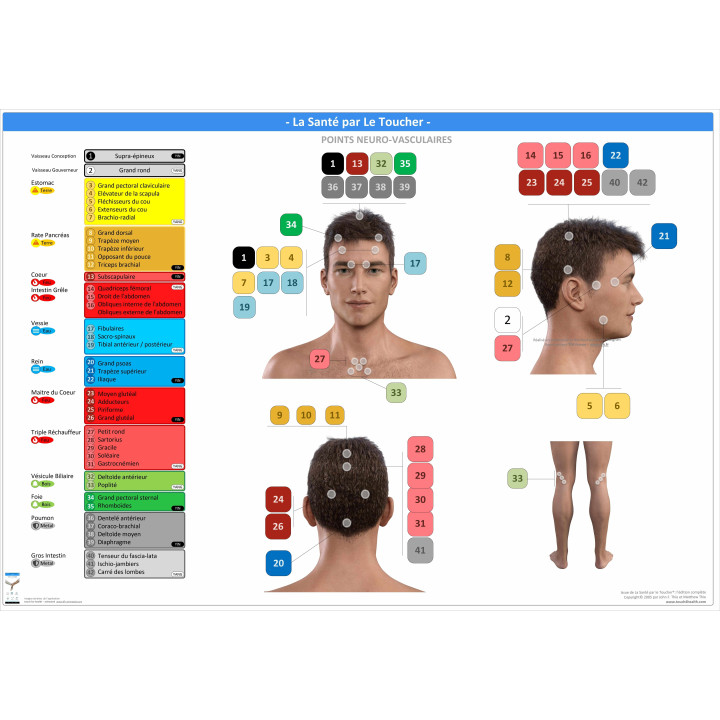 Pack 16 Fiches TFH plastifiées (v2)