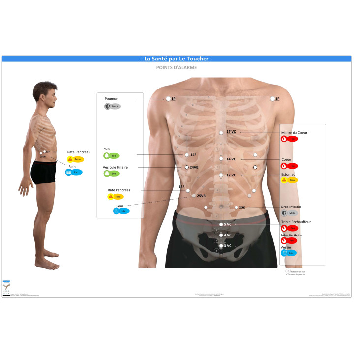 Pack 16 Fiches TFH plastifiées (v2)
