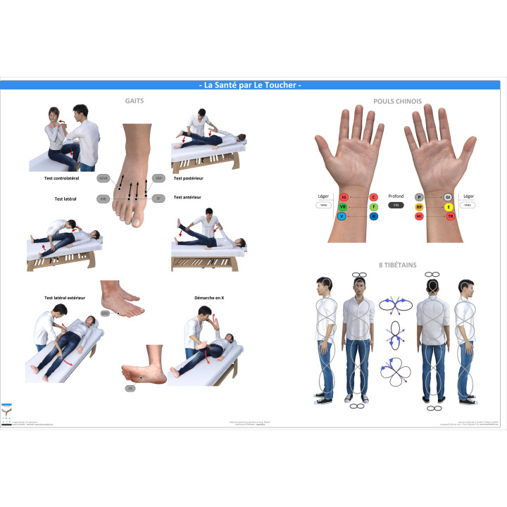 Pack 16 Fiches TFH plastifiées (v2)