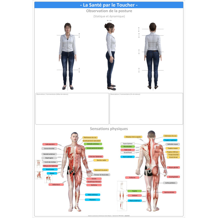 Pack 16 Fiches TFH plastifiées (v1)