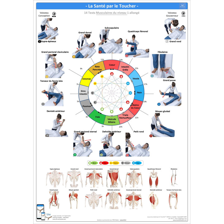 Pack 16 Fiches TFH plastifiées (v1)