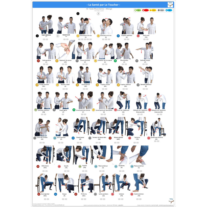 Pack 16 Fiches TFH plastifiées (v1)