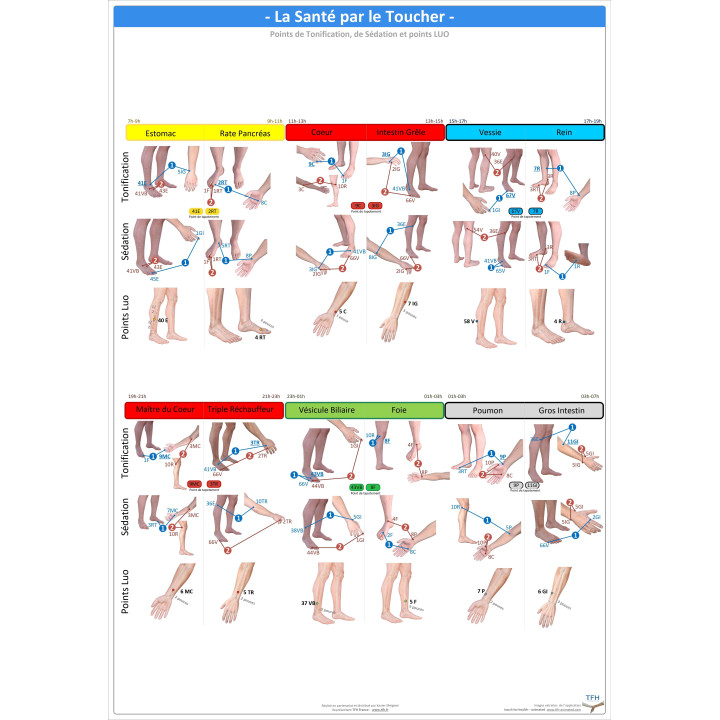 Pack 16 Fiches TFH plastifiées (v1)