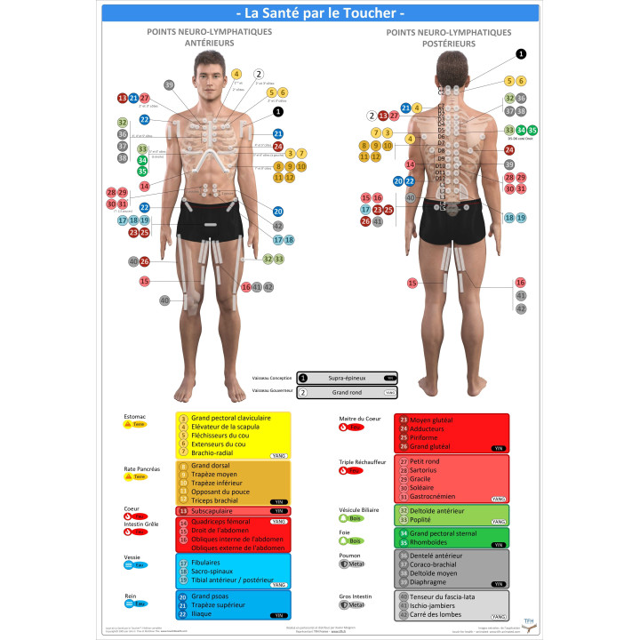 Pack 16 Fiches TFH plastifiées (v1)