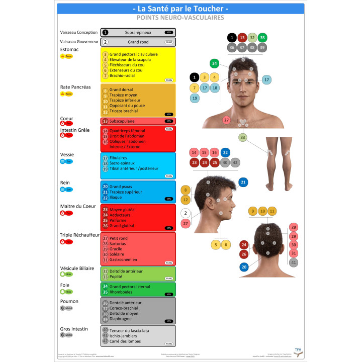 Pack 16 Fiches TFH plastifiées (v1)