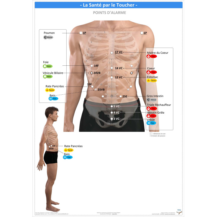 Pack 16 Fiches TFH plastifiées (v1)