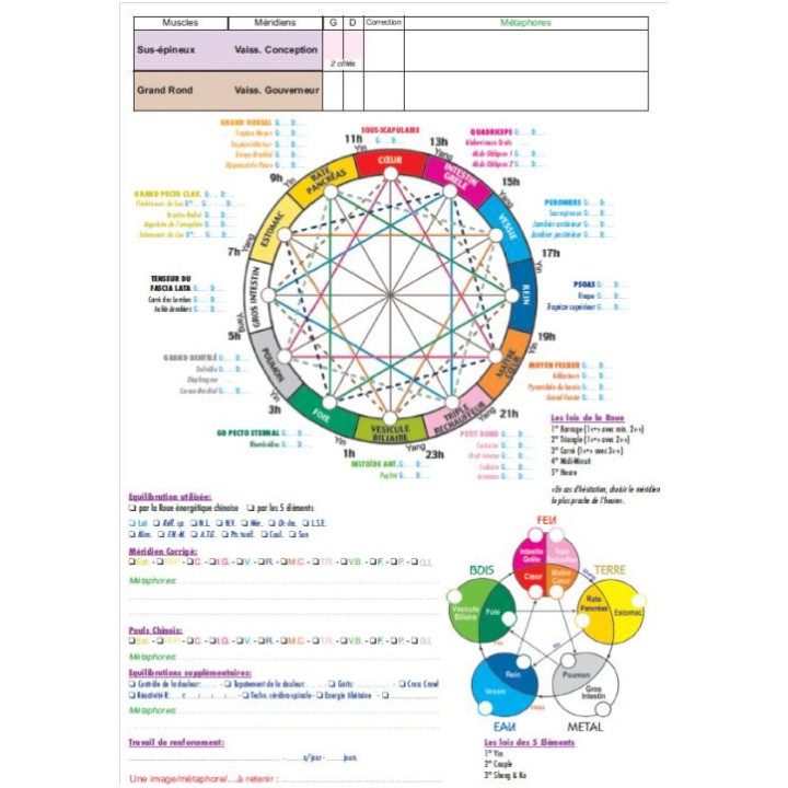 Poster des Emotions des 14 méridiens classés par les 5 éléments