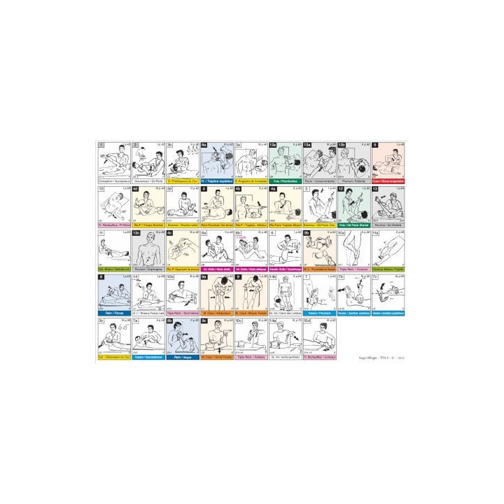 Fiche A4 des 14 tests musculaires du TFH 1 dans l'ordre de la roue