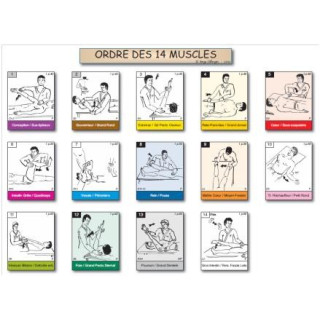 Fiche A4 des 14 tests musculaires du TFH 1 dans l'ordre de la roue