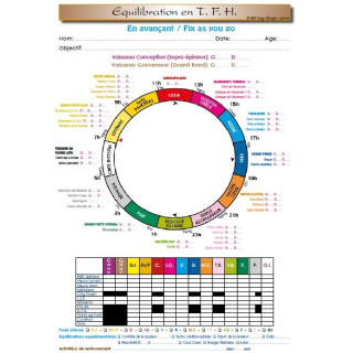 copy of Manuel TFH 1