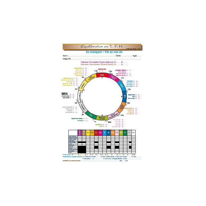 copy of Manuel TFH 1