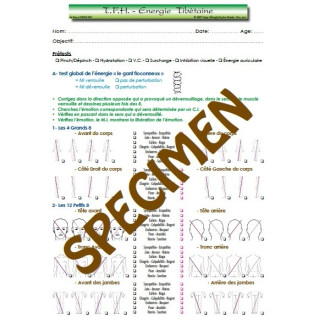Bloc A4 - TFH Energie Tibétaine