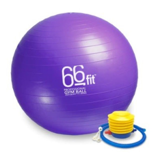 Ballon de gym - 55cm - violet