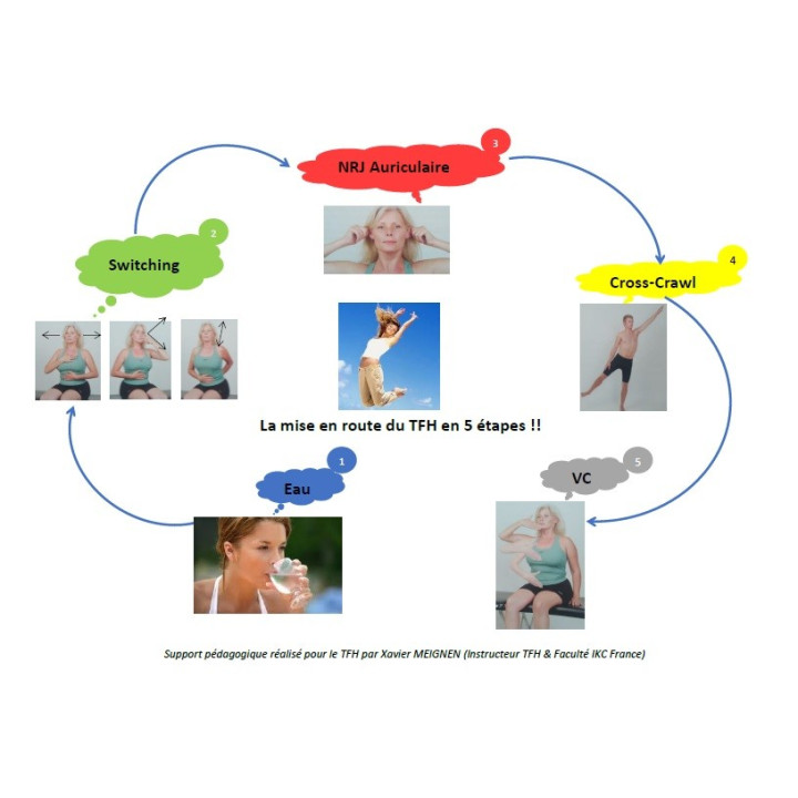 copy of Les différentes techniques d'équilibration en TFH (GRATUIT)