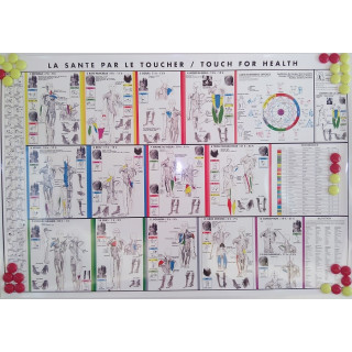 Poster TFH - Modèle Suisse