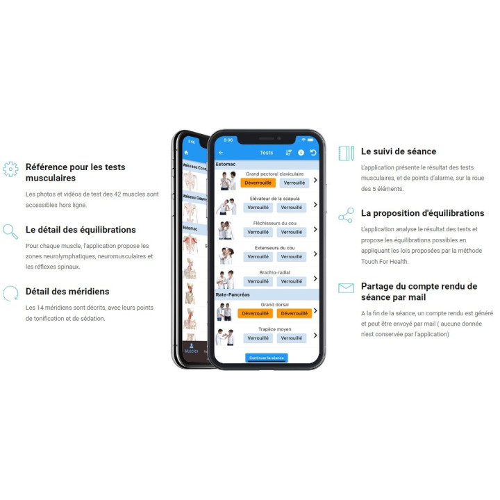 Application TFH Animated