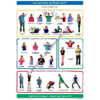 Poster Brain Gym Adulte