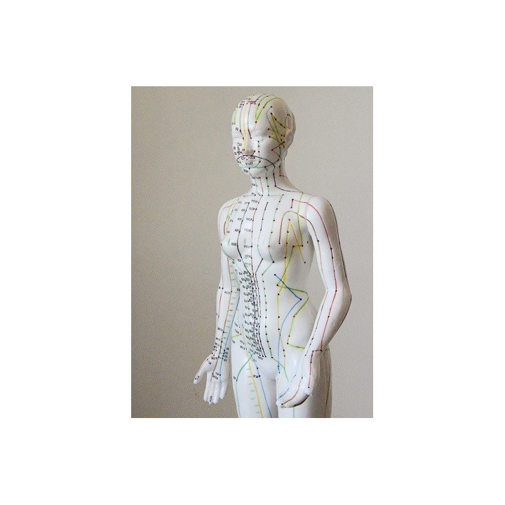 Mannequin d'acupuncture