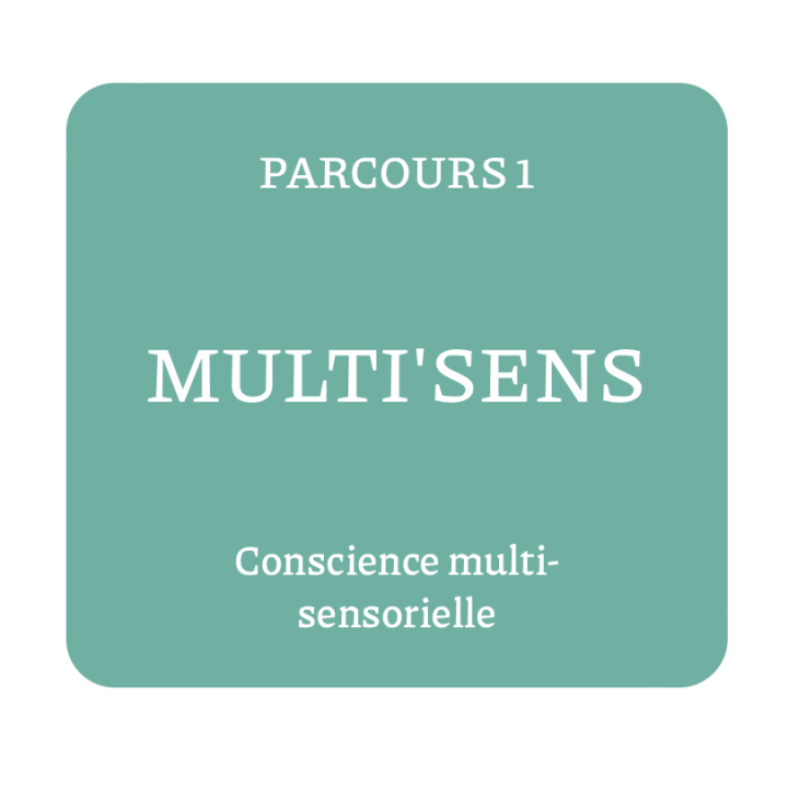Parcours 1 -Pratique de base multi'sensorielle