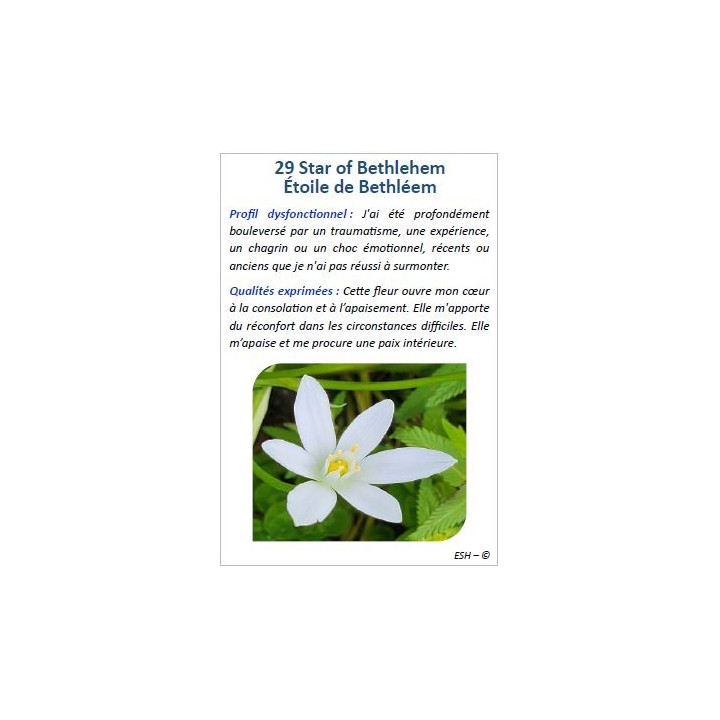 Cartes des Fleurs de Bach