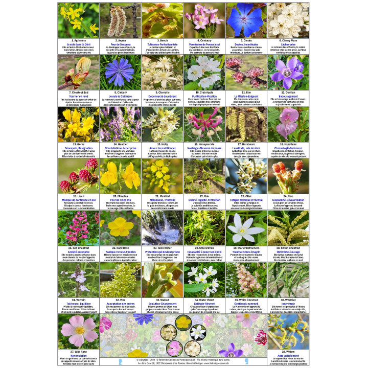 Cartes des Fleurs de Bach