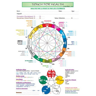 A4 - Fiche de Protocole TFH pour une équilibration par la roue et les lois de 5 éléments