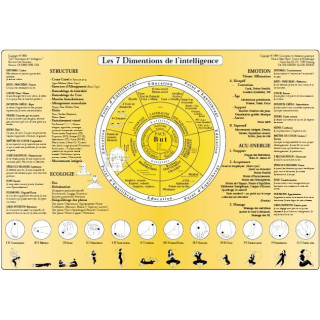 Poster des Emotions des 14 méridiens classés par les 5 éléments