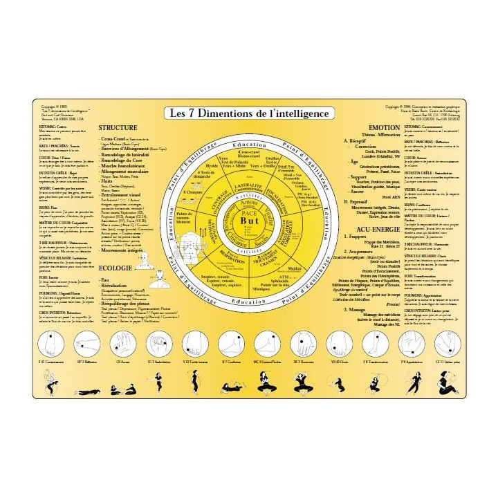 Poster des Emotions des 14 méridiens classés par les 5 éléments