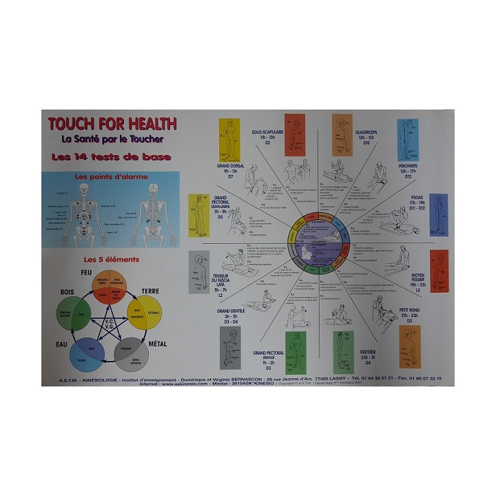 Poster TFH 14 muscles