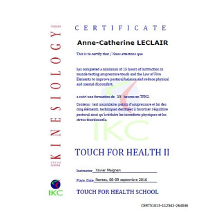 Code Certificat IKC TFH 2