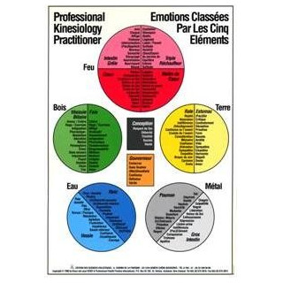 Poster des Emotions des 14 méridiens classés par les 5 éléments