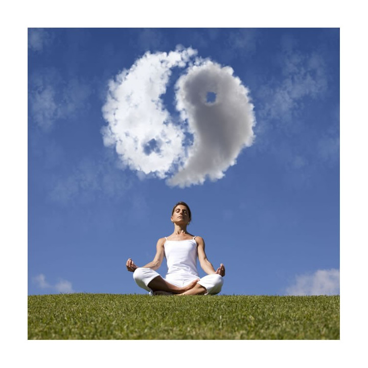 Cotisation site ECAP (RP et Kinésio)