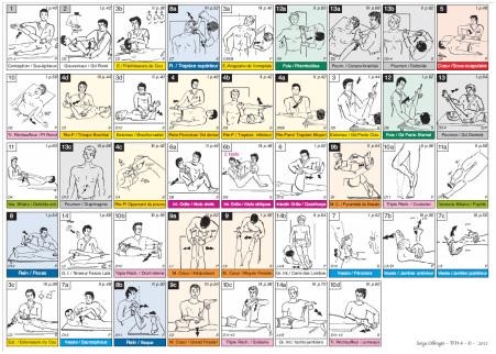 Fiche A4 des 42 tests musculaires du TFH de la tête aux pieds