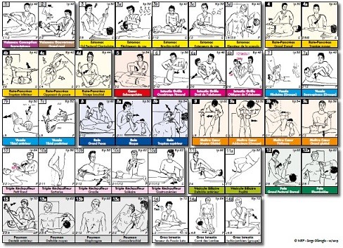 Fiche A4 - 42 tests musculaires du TFH (par méridien)