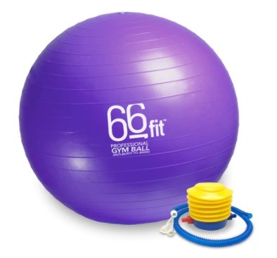 Ballon de gym - 55cm - violet