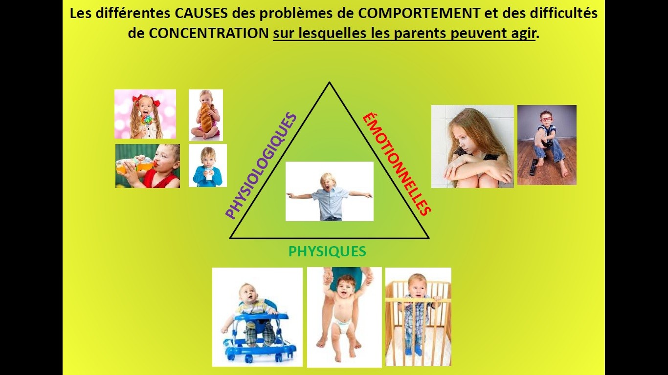 Conférence "Comportement et concentration"
