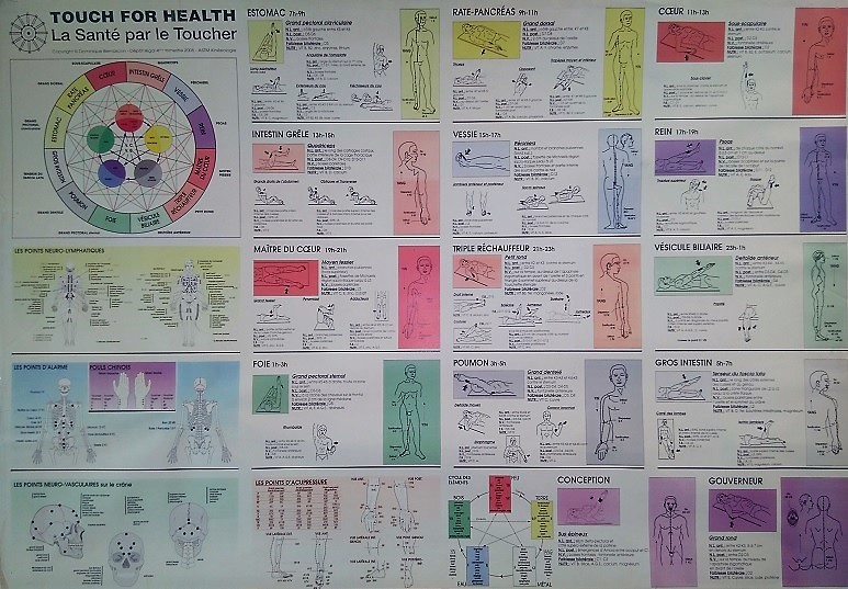 Poster TFH - Modèle France