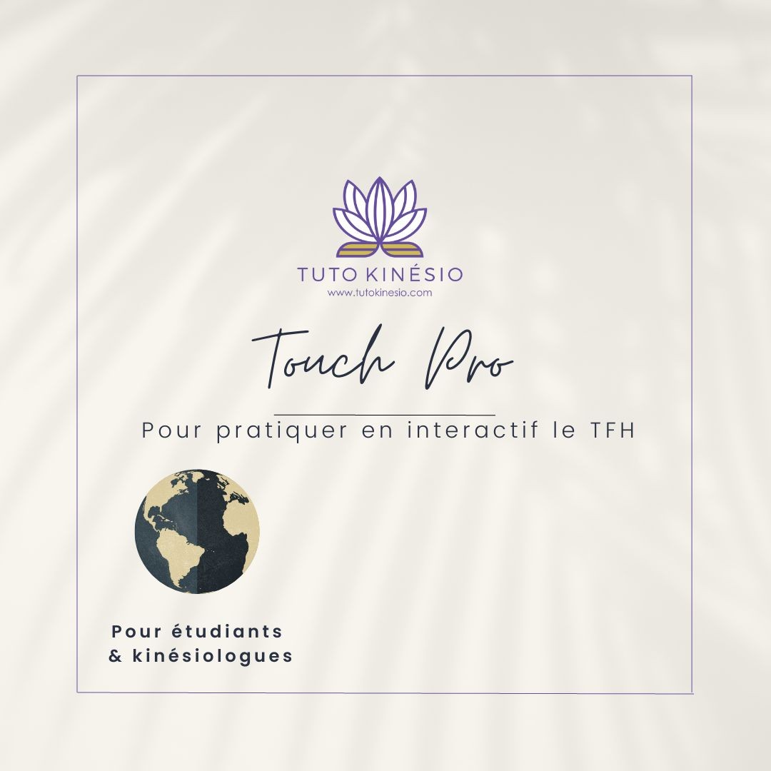 Touch Pro